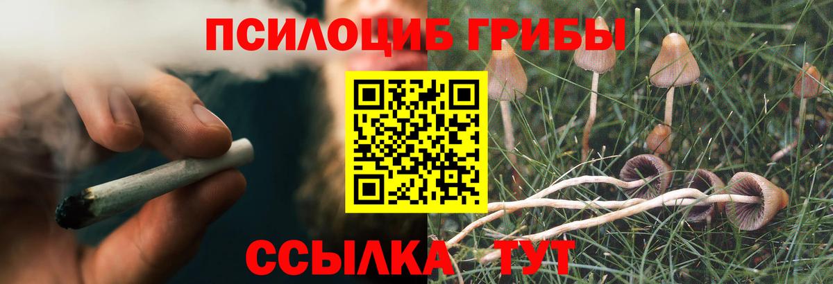 Галлюциногенные грибы мицелий  Вход с VPN  Майкоп  Галлюциногенные грибы Magic Shrooms 
